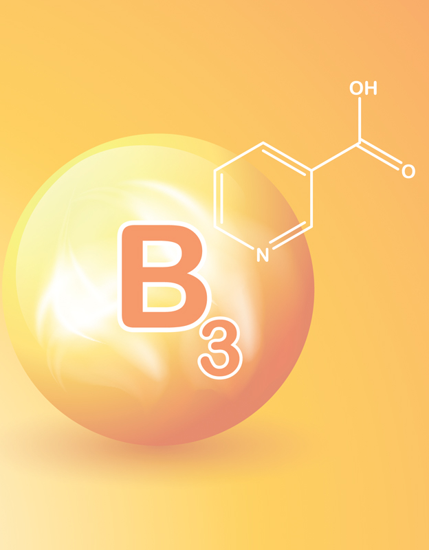 Niacin<br> - <br>enerji metabolizmasının düzgün çalışmasına katkıda bulunur ve sağlıklı bir cilde sahip olmaya yardımcı olur.